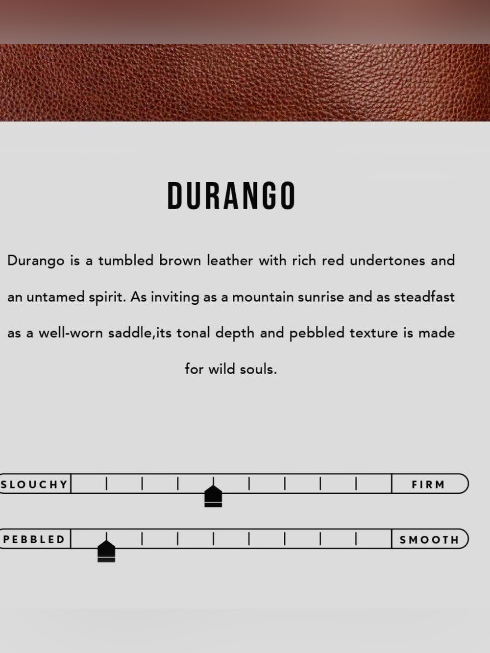 PORTLAND LEATHER COMPANY AP OVERSIZED NAOMI IN LIMITED EDITION DURANGO - Picture 2 of 15